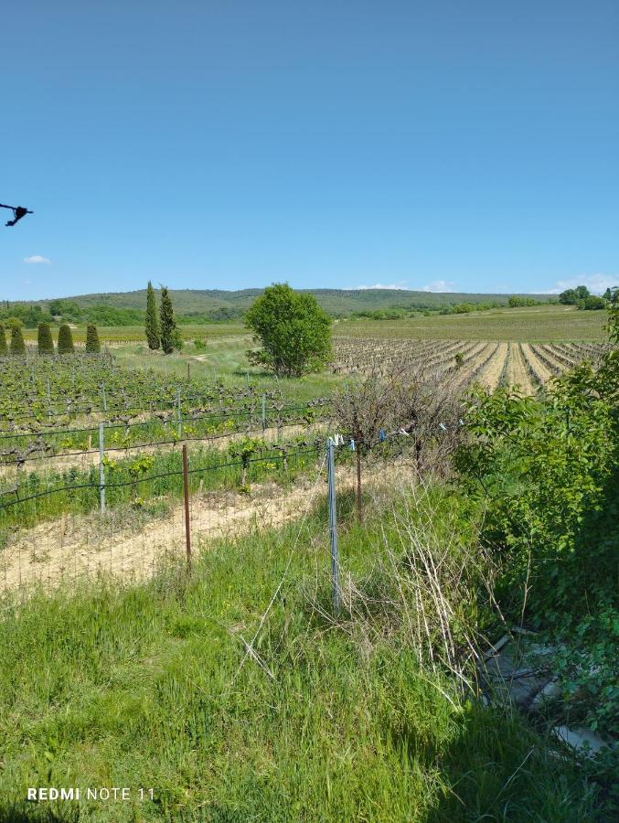 Chambre D Hotes En Provence, Au Pied Du Luberon, Les Coquelicots La Tour-dʼAigues 外观 照片