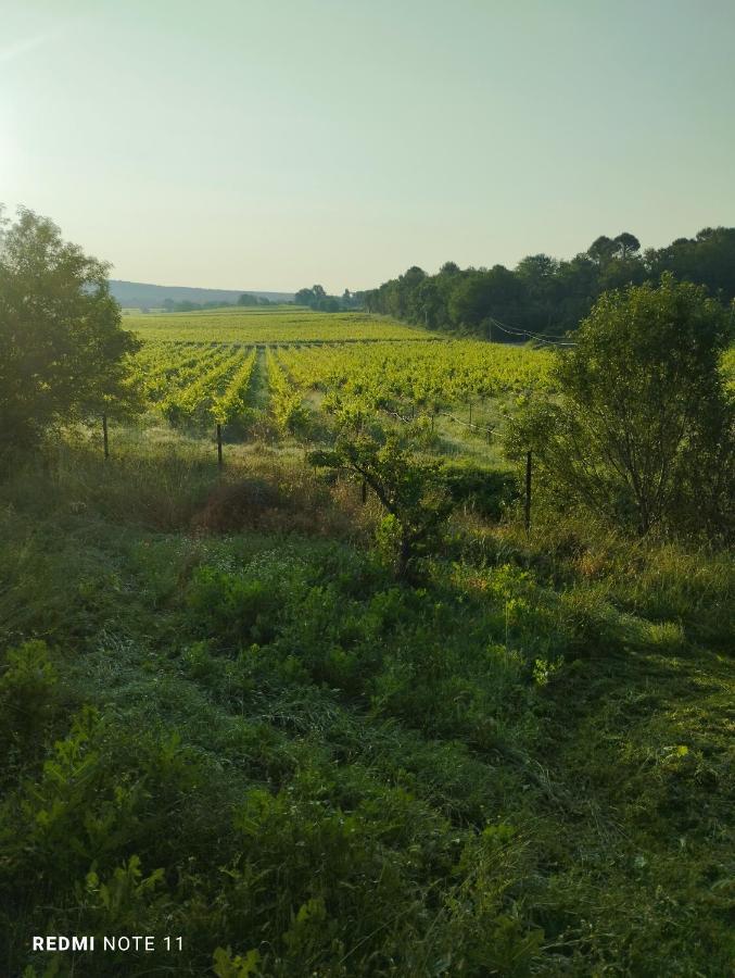 Chambre D Hotes En Provence, Au Pied Du Luberon, Les Coquelicots La Tour-dʼAigues 外观 照片