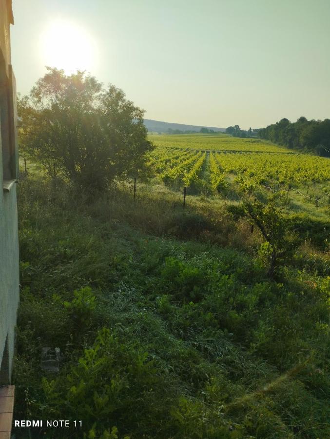 Chambre D Hotes En Provence, Au Pied Du Luberon, Les Coquelicots La Tour-dʼAigues 外观 照片